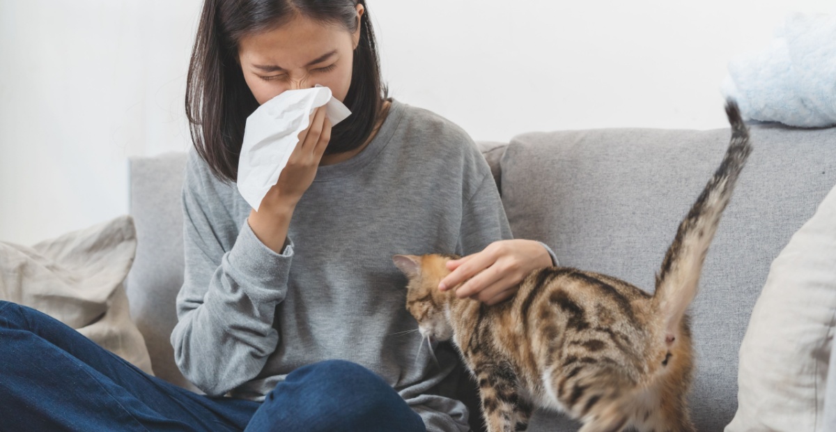 How Your HVAC System Can Help Combat Pet Allergies