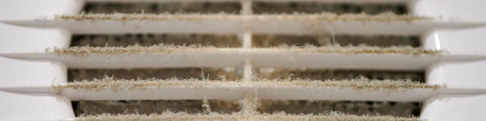 Understanding the Causes of Mold in HVAC Systems in Englewood, Florida