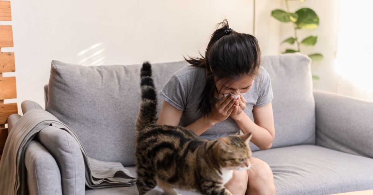 Air Purification Solutions for Allergy and Asthma Relief in Englewood, Florida